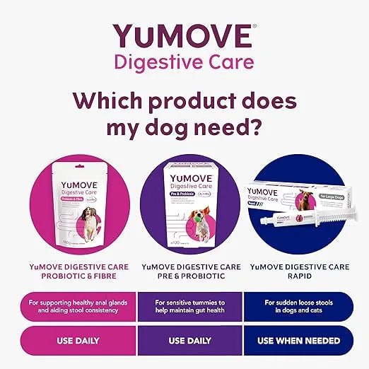 YuMOVE Digestive Care Rapid Dog Probiotic Paste - BestPet Uk