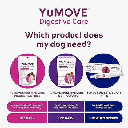 YuMOVE Digestive Care Rapid Dog Probiotic Paste - BestPet Uk