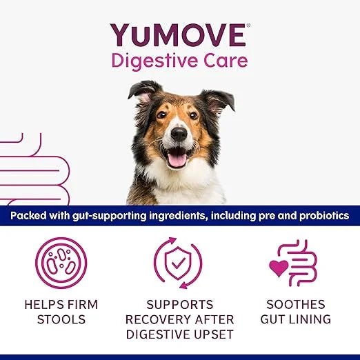 YuMOVE Digestive Care Rapid Dog Probiotic Paste - BestPet Uk