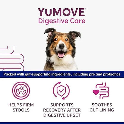 YuMOVE Digestive Care Rapid Dog Probiotic Paste - BestPet Uk
