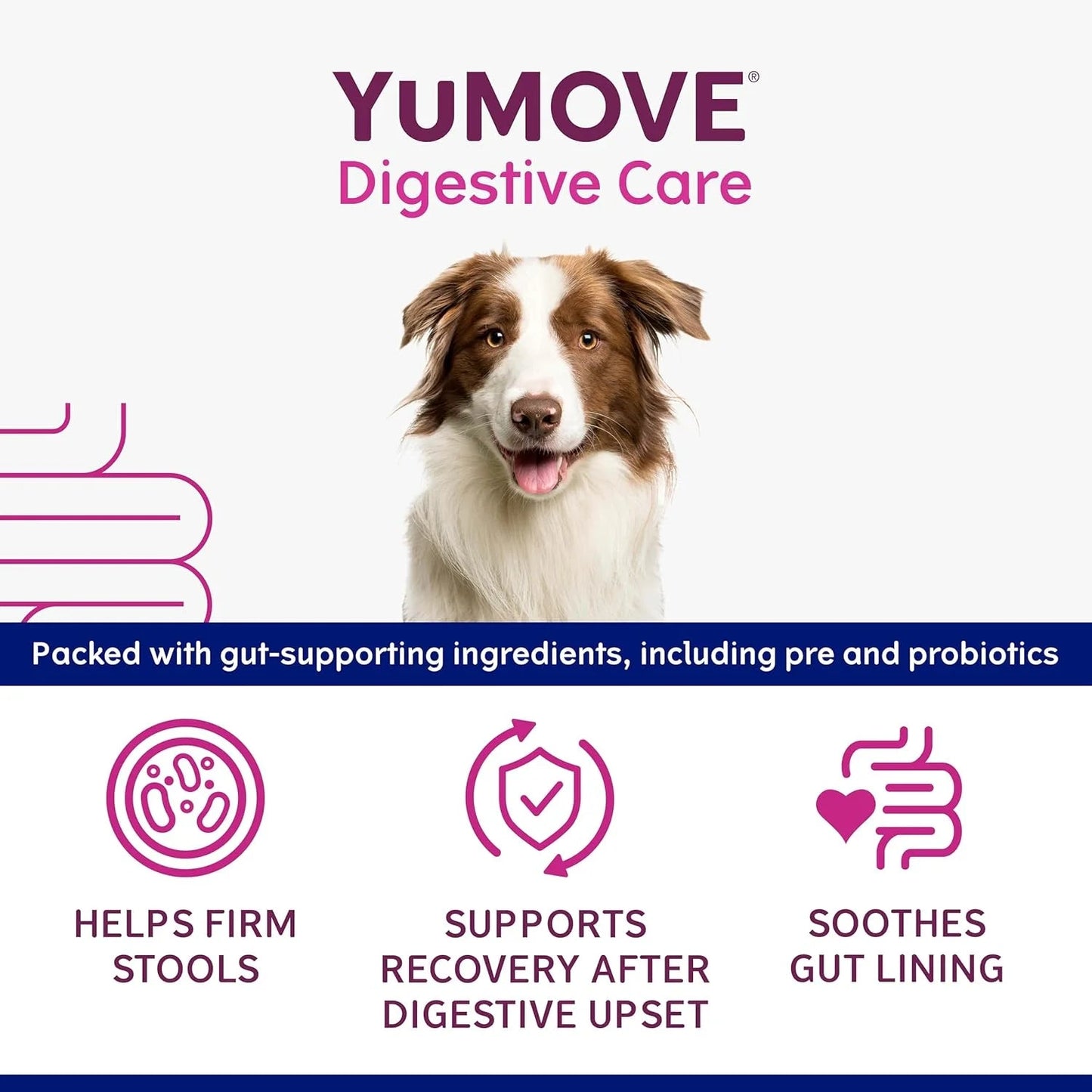 YuMOVE Digestive Care Rapid Dog Probiotic Paste - BestPet Uk