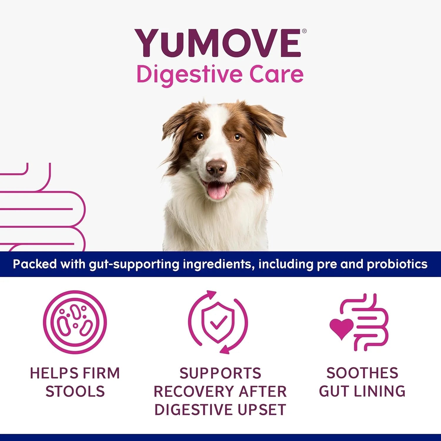 YuMOVE Digestive Care Rapid Dog Probiotic Paste - BestPet Uk