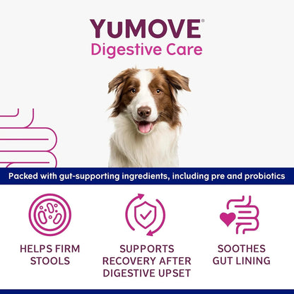 YuMOVE Digestive Care Rapid Dog Probiotic Paste - BestPet Uk