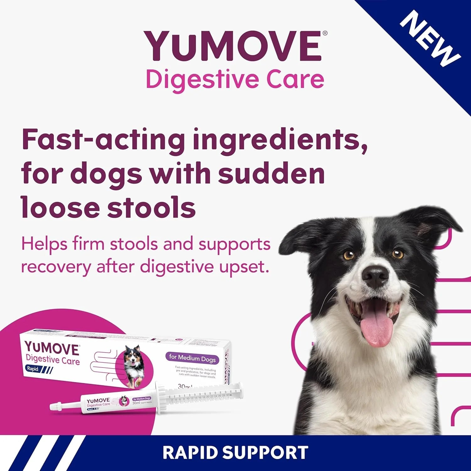 YuMOVE Digestive Care Rapid Dog Probiotic Paste - BestPet Uk