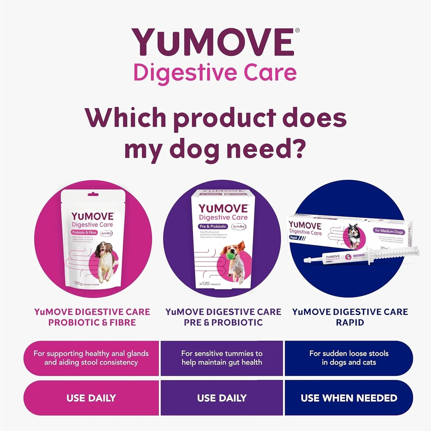 YuMOVE Digestive Care Rapid Dog Probiotic Paste - BestPet Uk