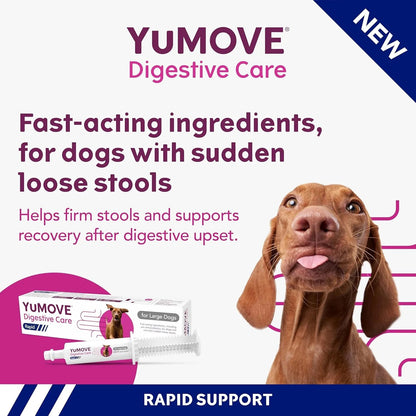 YuMOVE Digestive Care Rapid Dog Probiotic Paste - BestPet Uk