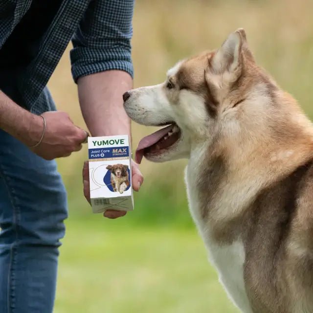YuMOVE Joint Care PLUS Max Strength 