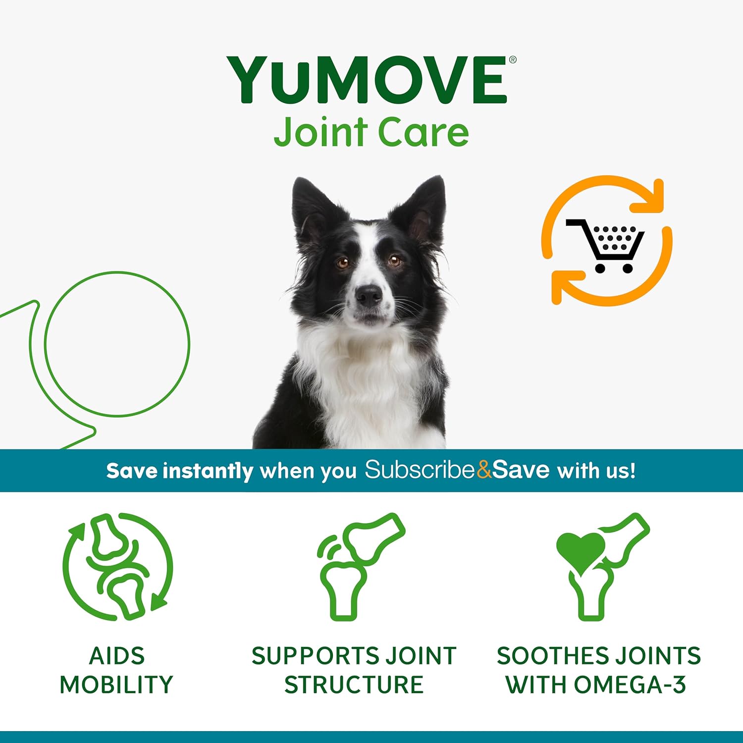 YuMOVE Joint Supplement for Dogs, Daily Bites for Joint Care, Essential Dog Hip and Joint Aid for Stiff Adult Dogs with Glucosamine, Chondroitin, Green Lipped Mussel, 60 Tablets - BestPet Uk