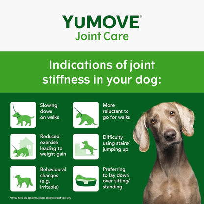 YuMOVE Joint Supplement for Dogs, Daily Bites for Joint Care, Essential Dog Hip and Joint Aid for Stiff Adult Dogs with Glucosamine, Chondroitin, Green Lipped Mussel, 60 Tablets - BestPet Uk